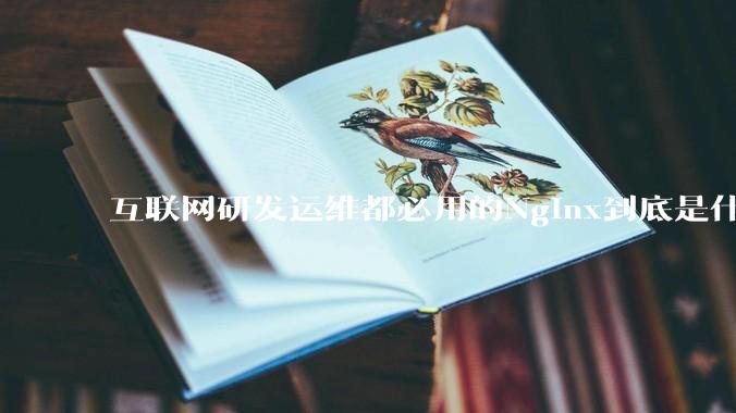 互联网研发运维都必用的Nginx到底是什么呢？