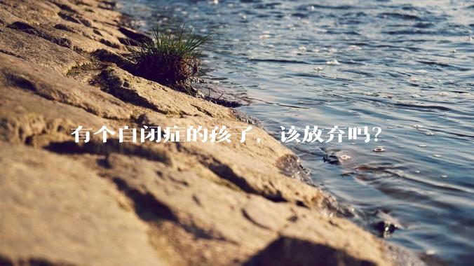 有个自闭症的孩子，该放弃吗？