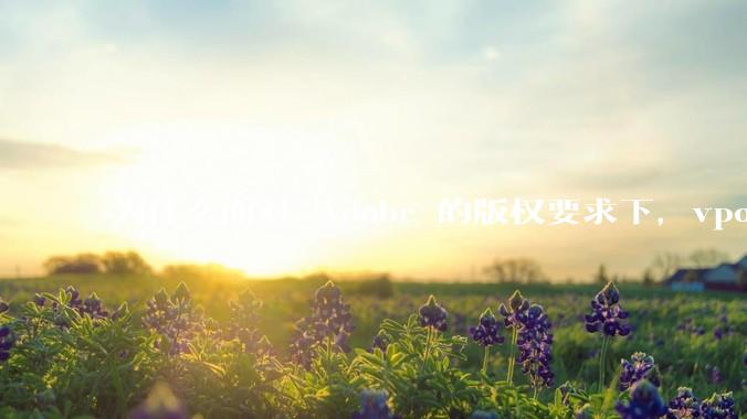 为什么面对 Adobe 的版权要求下，vposy 大神还能从容不迫？