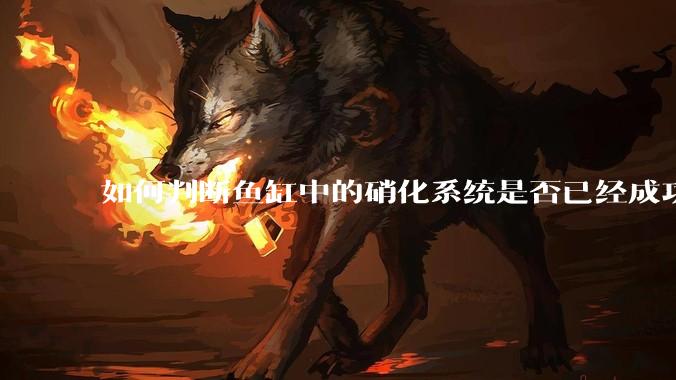 如何判断鱼缸中的硝化系统是否已经成功建立？